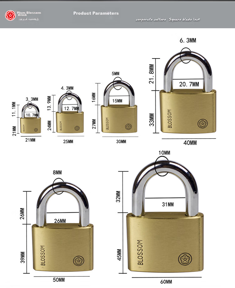 Замок BLOSSOM Copper Padlock BC9050, водонепроницаемый и устойчивый к ржавчине, для офиса, общежития, наружных складов, ворот и дверей отделений, 50 мм