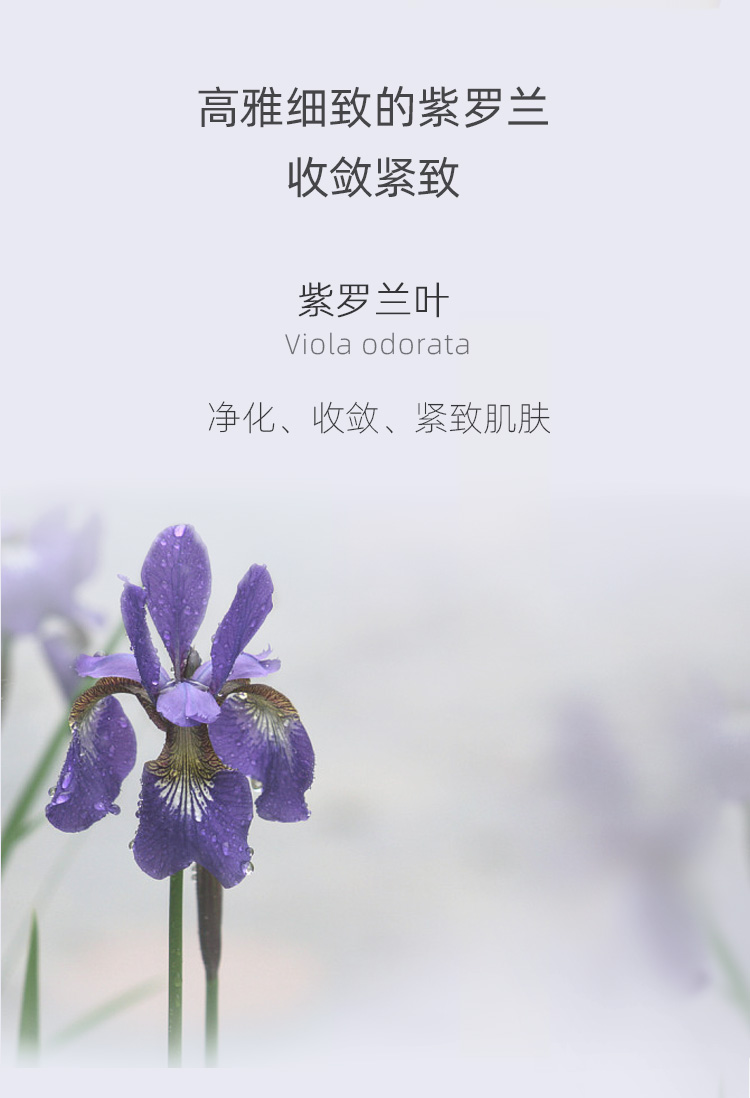 肯园Anius巨人晶亮精华油10ml 巨人魔杖眼部精华油熬夜眼油面部护肤品