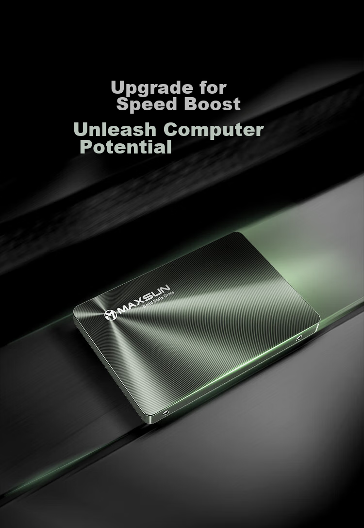 SSD накопитель MAXSUN 256GB SATA 3.0, 550 МБ/с, серия Terminator