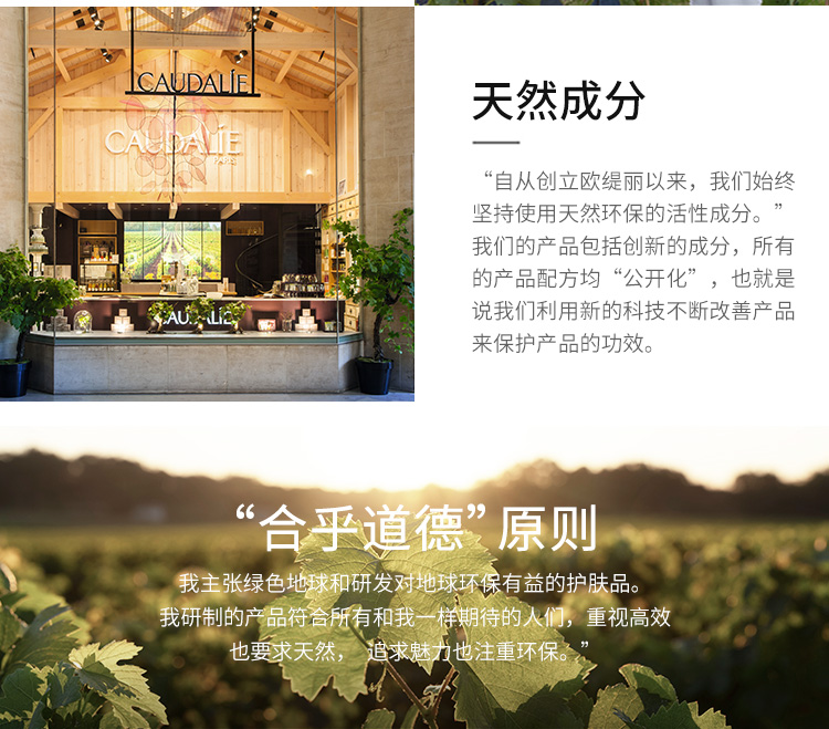 法国进口欧缇丽（CAUDALIE）爽肤水柔肤水保湿葡萄籽活性精华皇后水100ml定妆控油清爽醒肤收缩毛孔 进口超市