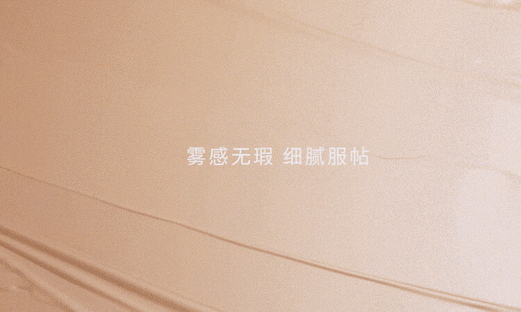 赫妍（HERA）黑金气垫 持妆哑光长效持久控油遮瑕保湿滋润13N1 15g*2