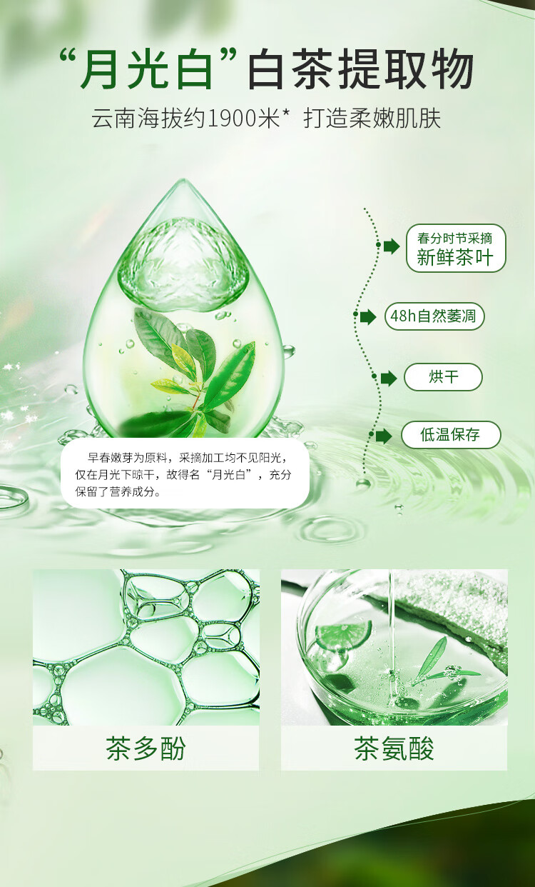 植物医生高山白茶补水保湿护肤品套装（洁面120g+爽肤水120ml+乳液100ml）