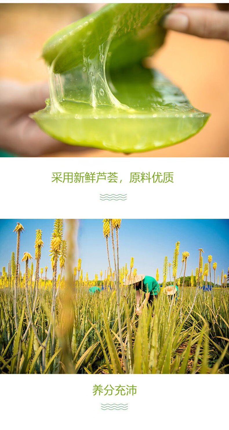 寻荟记芦荟胶清爽补水晒后呵护护肤品 芦荟原胶40g