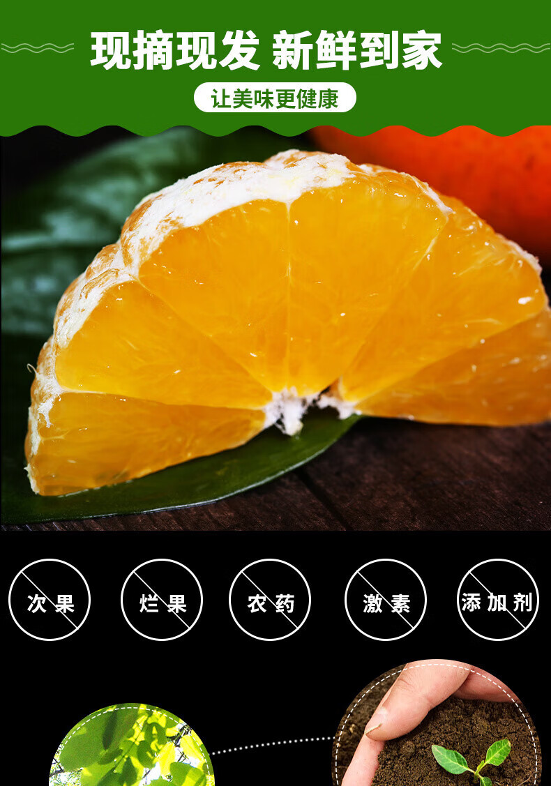 【22年新果】爱媛38号果冻橙 新鲜橙子水果大果粒橙 4斤中果【65-70mm】