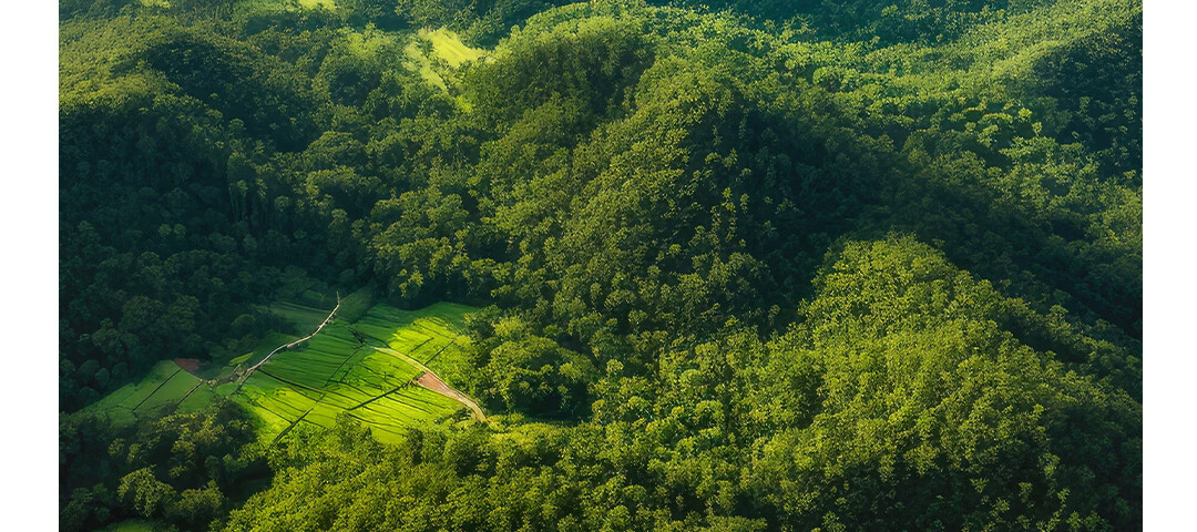 Напольная лампа с защитой глаз