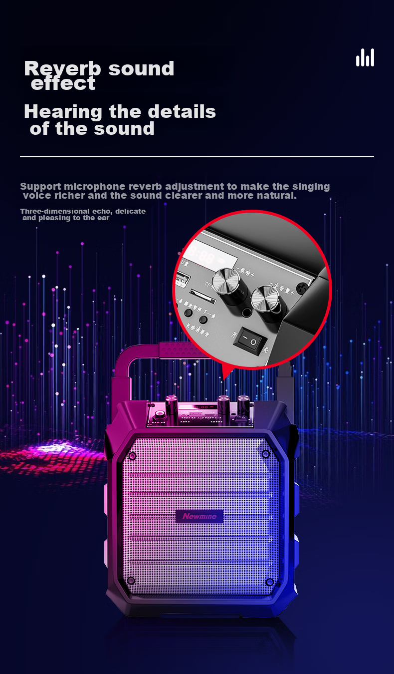 Беспроводная Bluetooth-колонка Newmine K98, портативная, с двумя микрофонами, радио, для уличных выступлений и домашнего использования