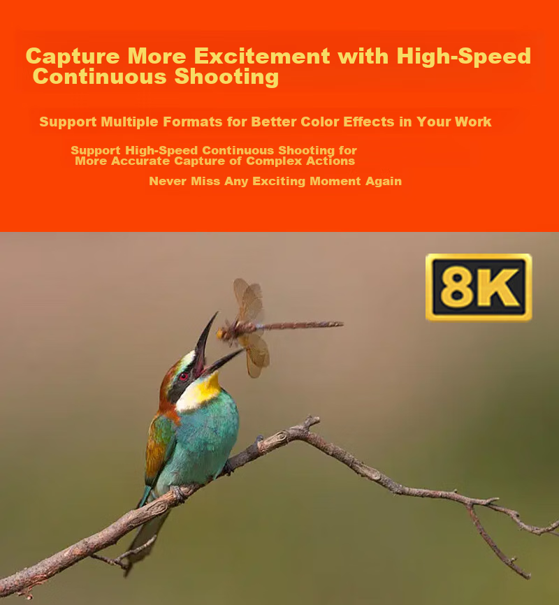 Карта памяти DAJINGYU CFexpress Type B, 128 ГБ, высокоскоростная, для камер Nikon, Canon, Fuji, Panasonic