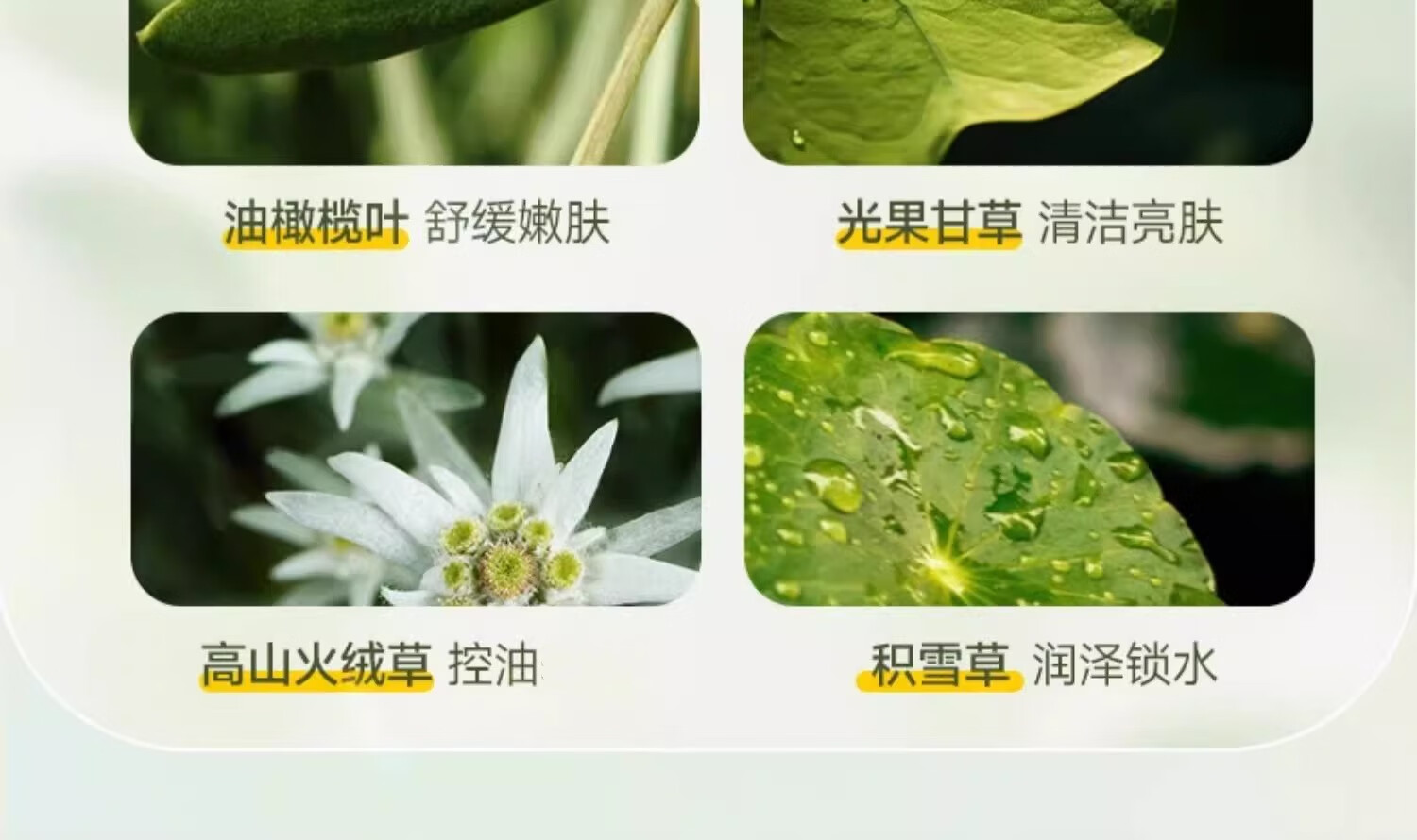 泊紫汀兰氨基酸控油洁面慕斯泡沫温和洗面奶深层清洁保湿洁面乳男女350ml