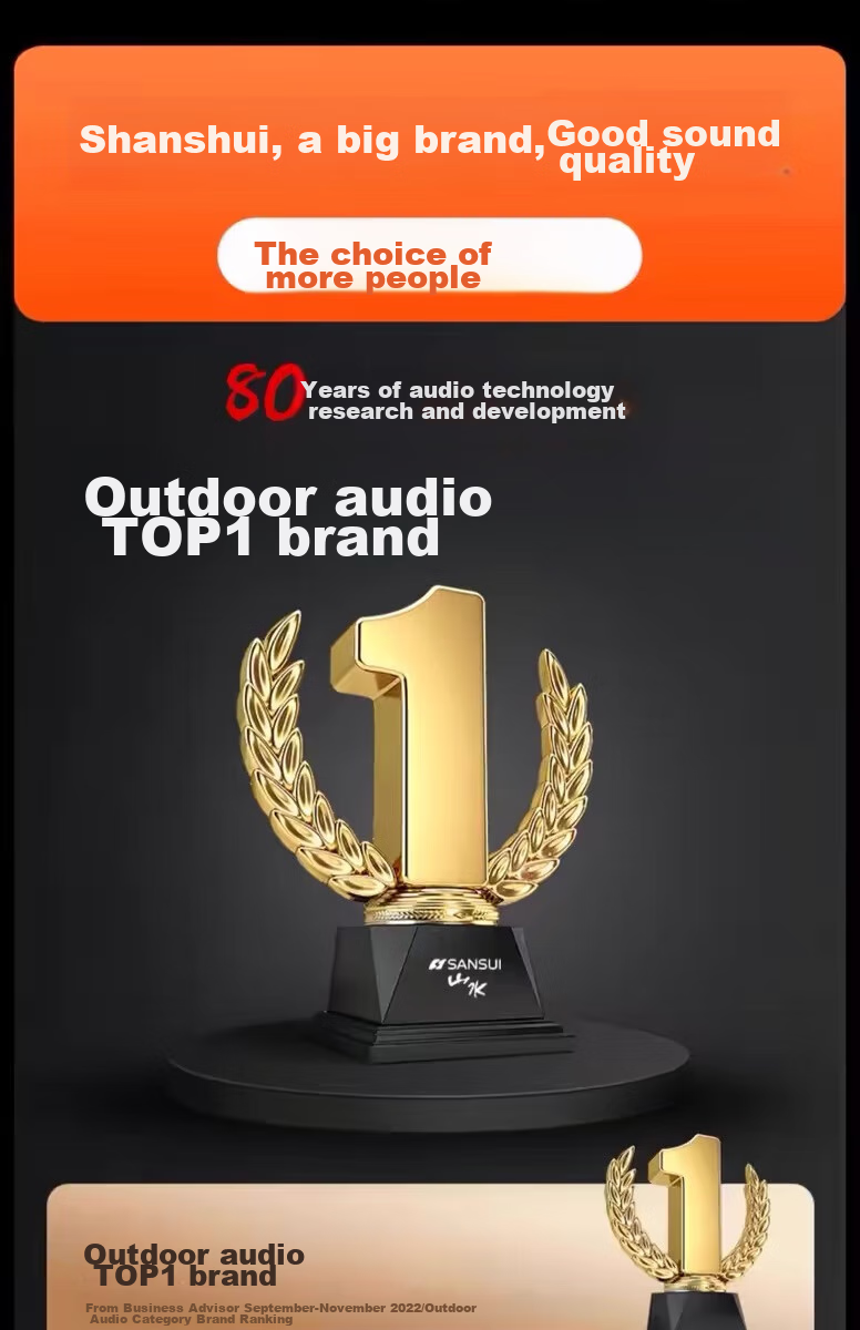 Портативная колонка SANSUI E76, 25 Вт, Bluetooth 5.0, с двумя беспроводными микрофонами, для караоке, вечеринок и выступлений
