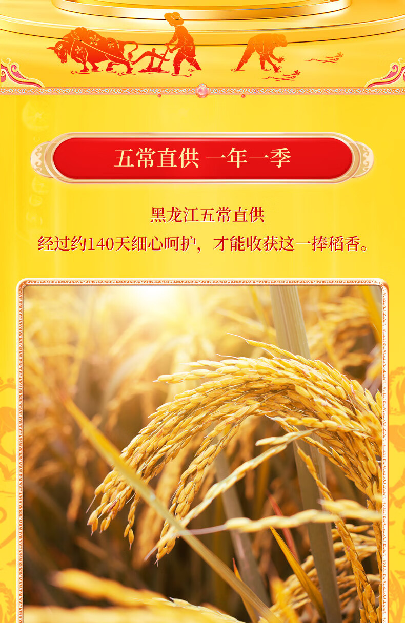 十月稻田 五常稻香米 五常大米 10kg 稻花香2号 东北大米 十公斤