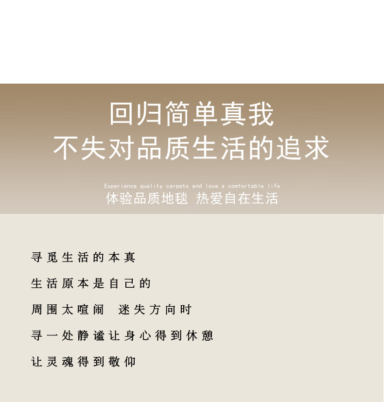 布迪思【可定制】轻奢地毯客厅家用卧室现代简约北欧床边沙发茶几地毯ins风大面积 轻奢24 140*200CM