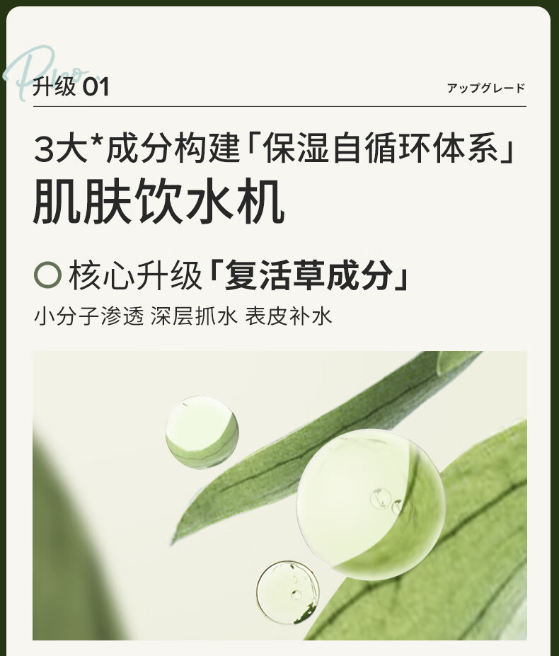 Bb LABORATORIES 苾莱宝新一代复活草面膜175g 高倍补水修护 敏感肌可用 送女生