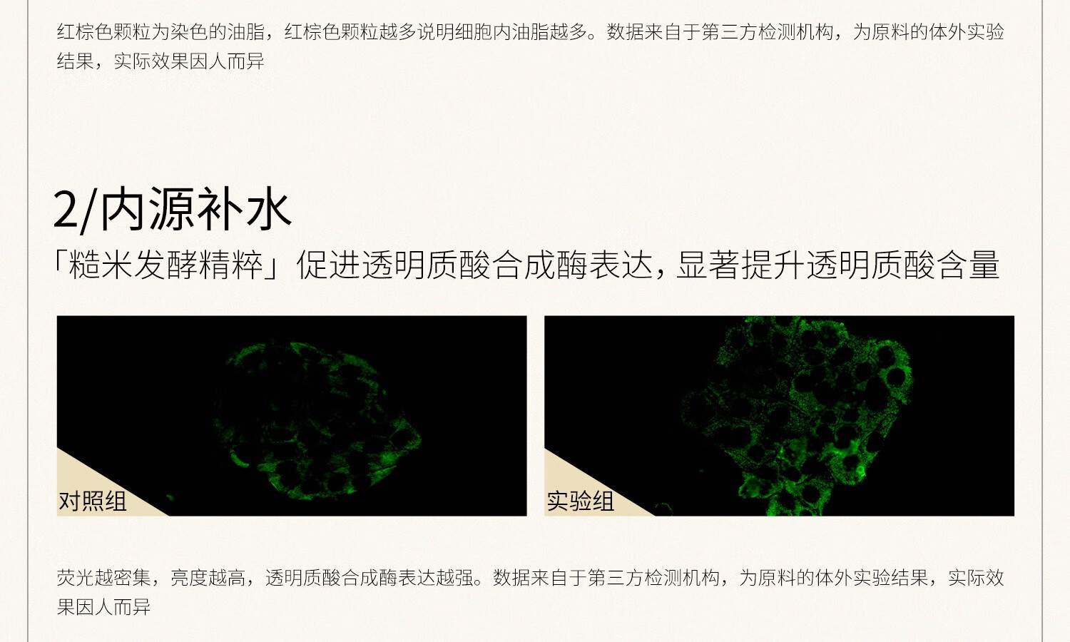 Bio-MESO华熙生物BM肌活糙米水大瓶湿敷爽肤水保湿控油修护化妆水精华水露 300ml【老客推荐】