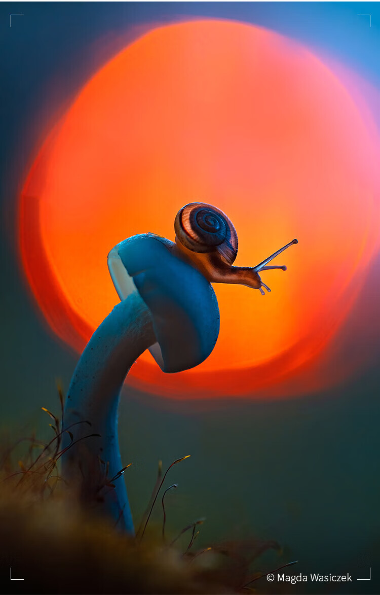 UV-фильтр для камеры