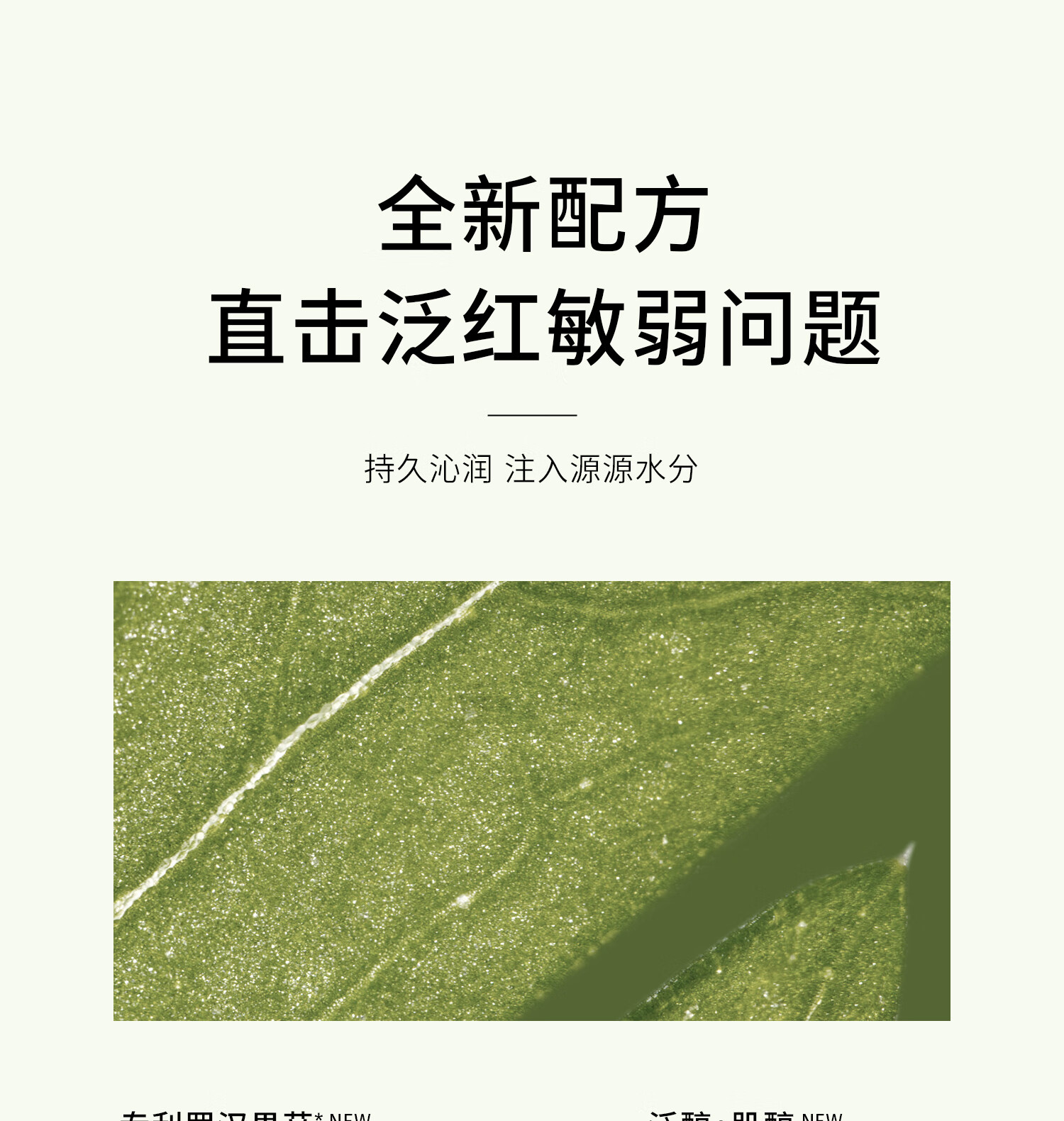 至本新版特安修护喷雾150ml 即效舒缓褪红雾感细密保湿补水化妆爽肤水