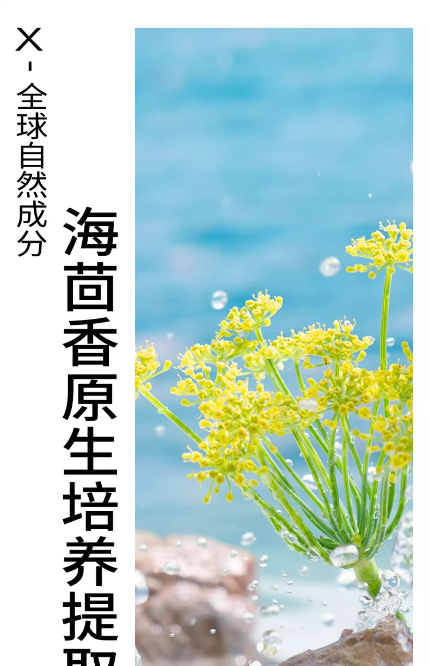 PMPM【38女王节】蓝海水面霜控油补水保湿修护油皮嫩肤清爽乳霜50g*2