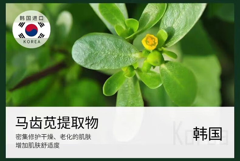 GUERBEIS护肤品套装水乳小样精华液眼霜礼盒海蓝小绿瓶情人节圣诞生日礼物