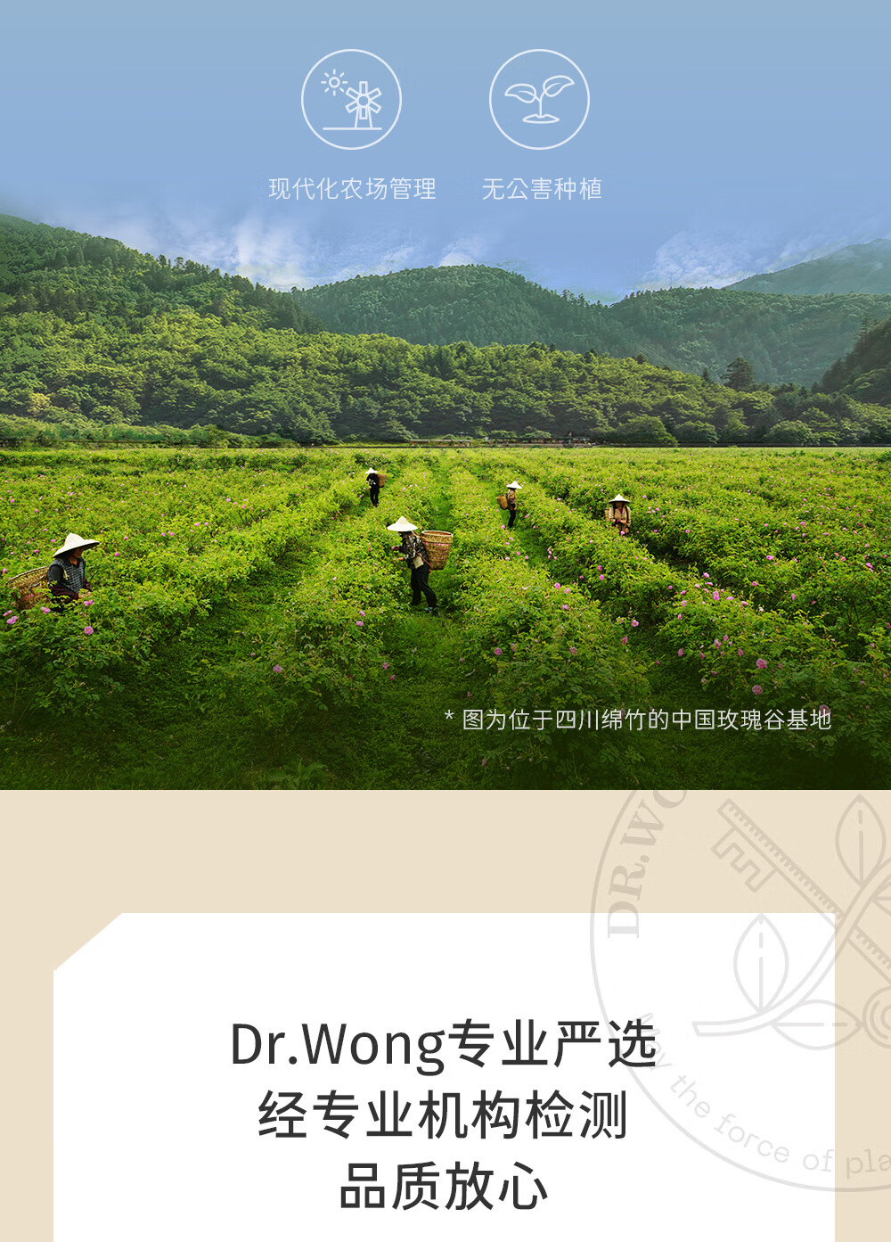 Dr.Wong大马士革玫瑰纯露香气馥郁愉悦提亮肌肤补水爽肤保湿 300ml
