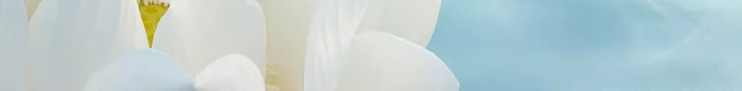 花西子玉养气垫N20 13g混油皮遮瑕粉底液bb霜【含正装替换芯】