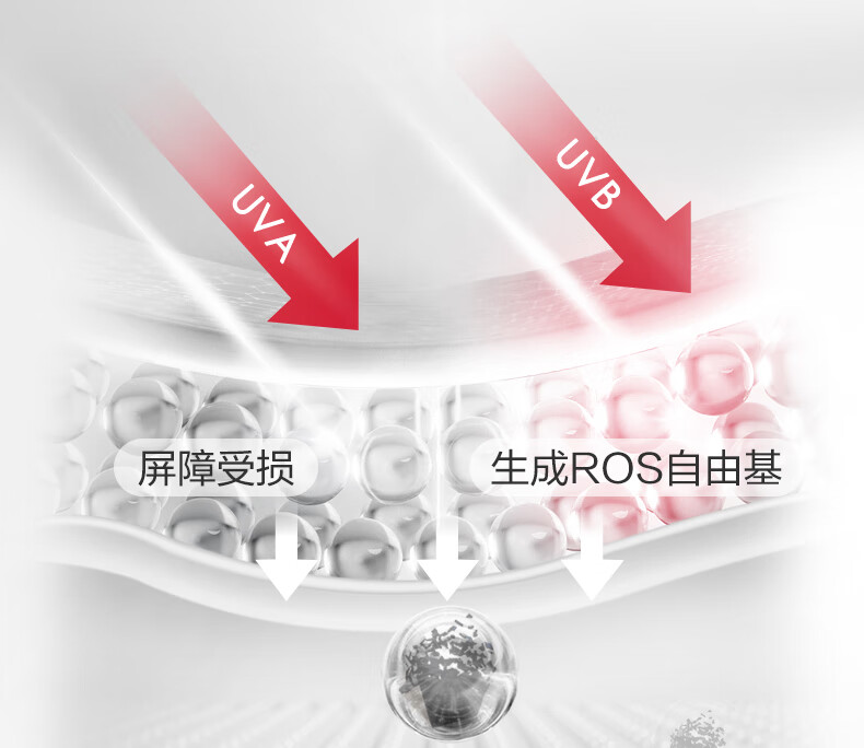 薇诺娜光透皙白套装日霜50g+晚霜50g（已含附件，到手共2支）面霜