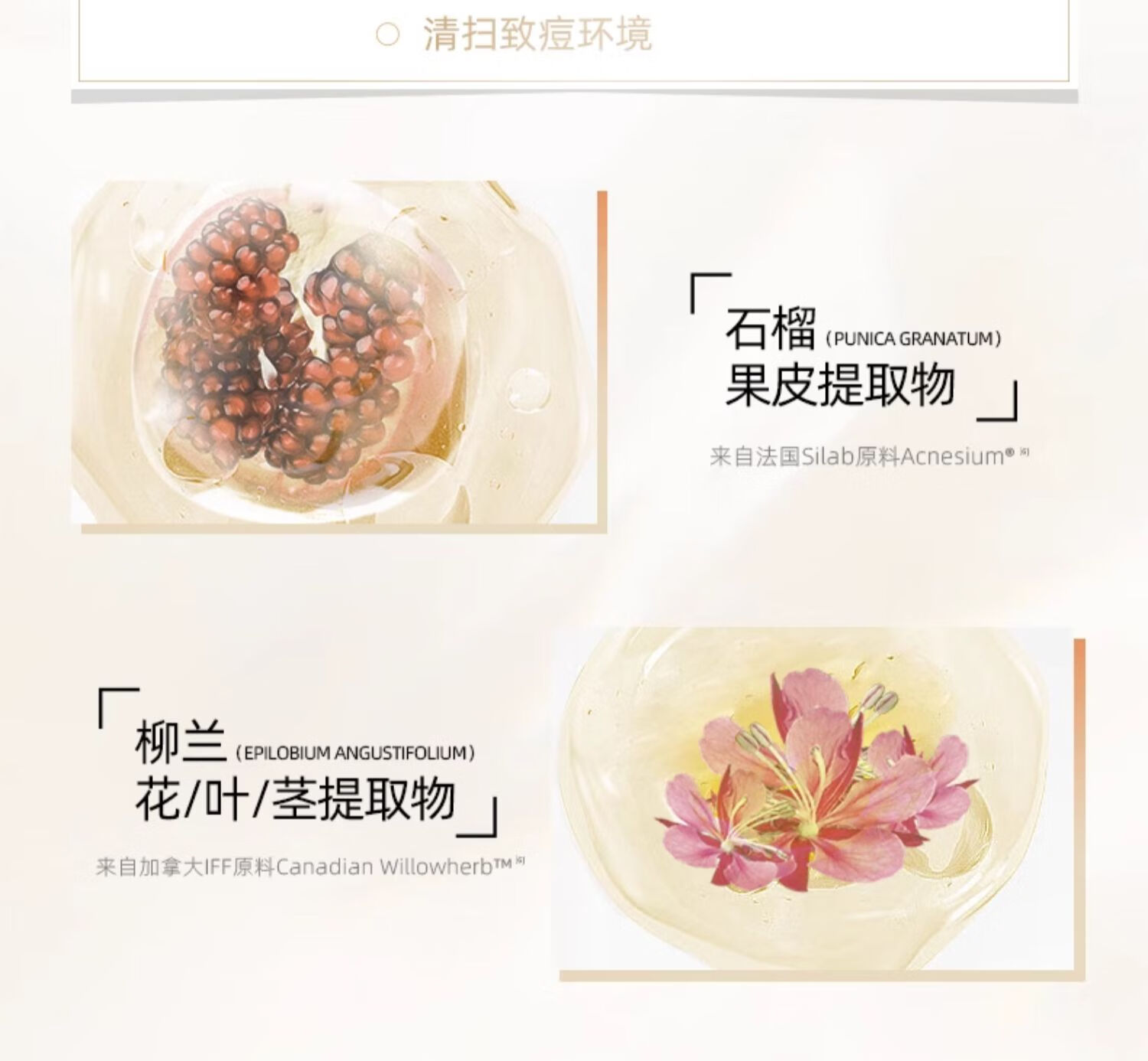 若美欣杏仁酸5%精华30ml祛痘壬二酸衍生物控油去角质去闭口粉刺