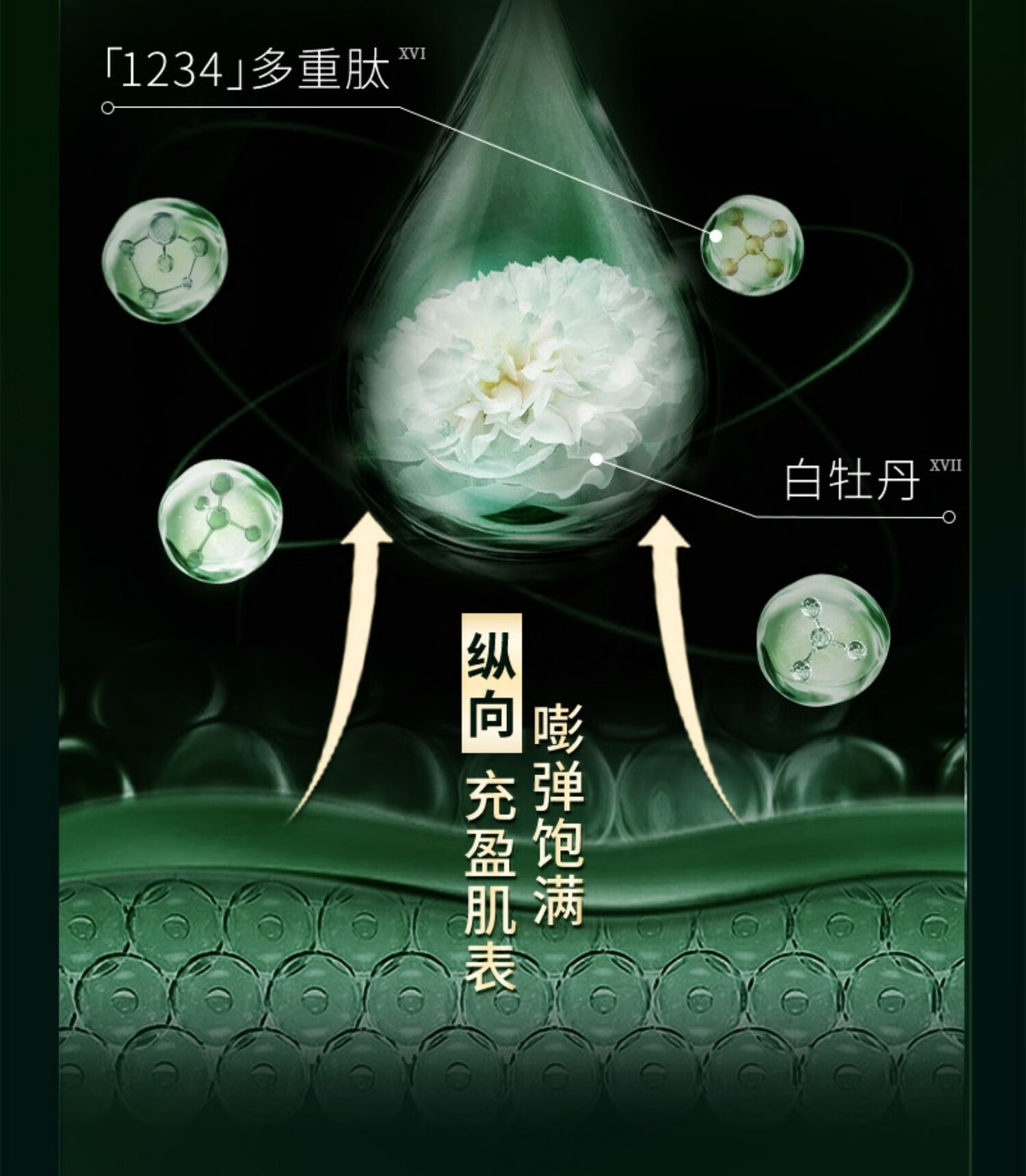 佰草集中小样试用装护肤品新恒美新玉润御五行太极旅行装紧致淡化细纹 太极肌源修护心意装4件