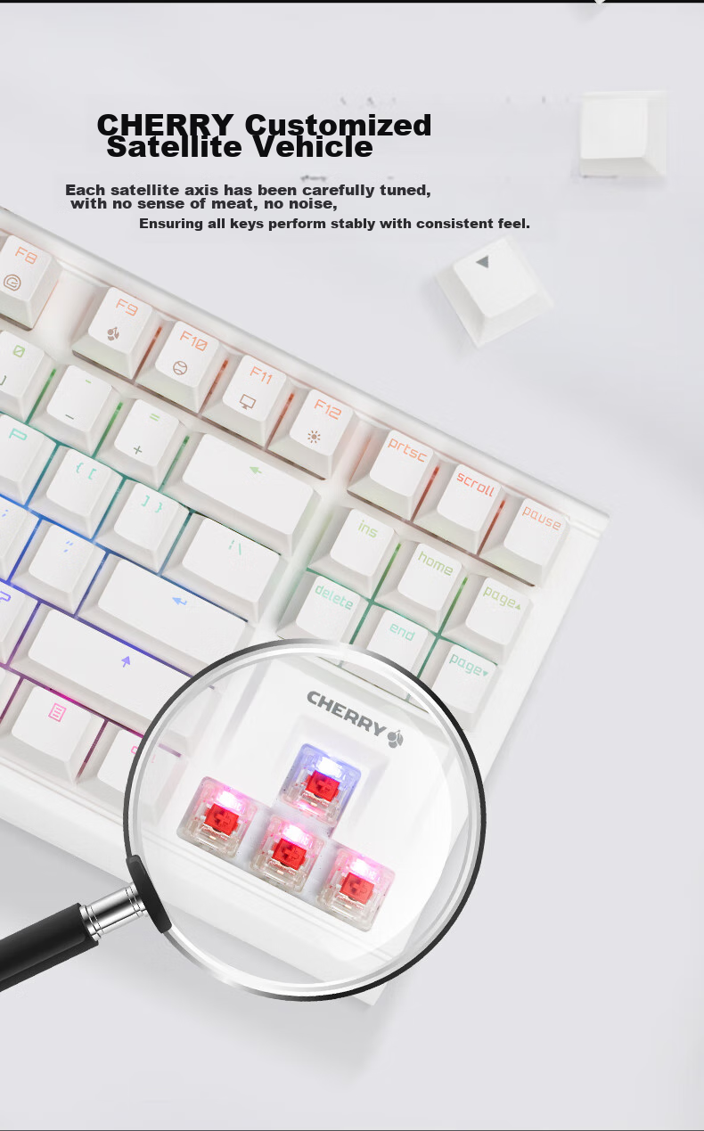 Механическая клавиатура CHERRY MX1.1 Aurora, 87 клавиш, RGB подсветкой, проводная, белая