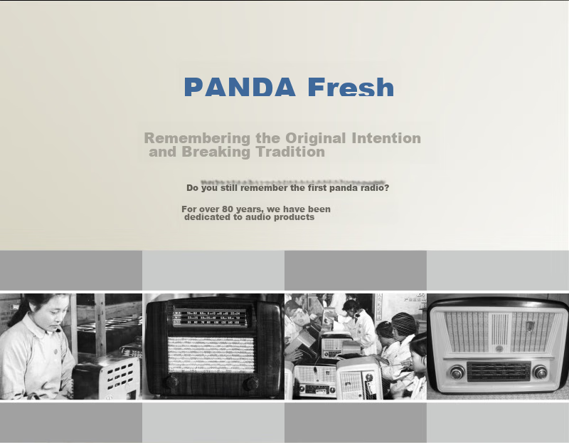 Портативное цифровое радио Panda T-04 с FM/AM, MP3-плеером, слотом для TF-карты и встроенным аккумулятором (черный)