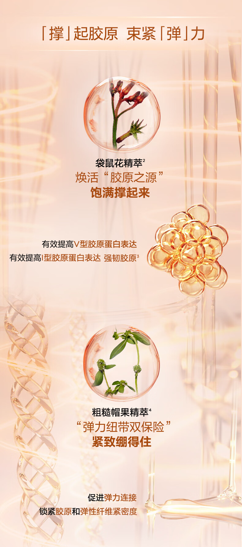 娇韵诗焕颜2件套(日霜50ml+晚霜50ml)抗皱保湿面霜滋润护肤品女神节礼物