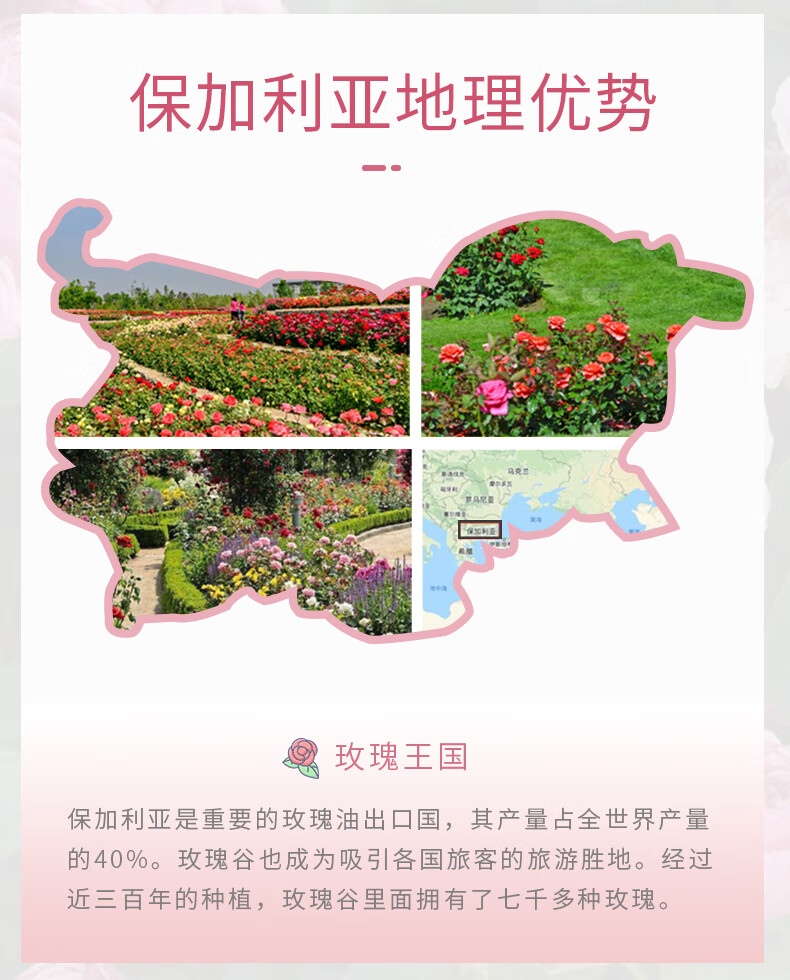 OLORISA玫瑰按摩精油 植物舒缓按摩刮痧推拿spa全身通用男女情侣100ml装