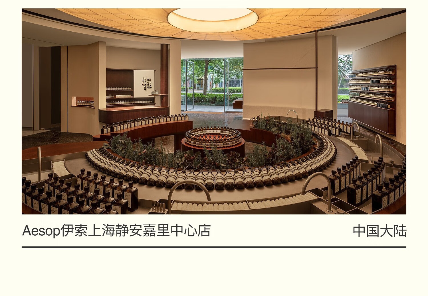 Aesop伊索 息间芳香护手霜 75mL 滋润柔滑 呵护肌肤 男女士礼物 便携