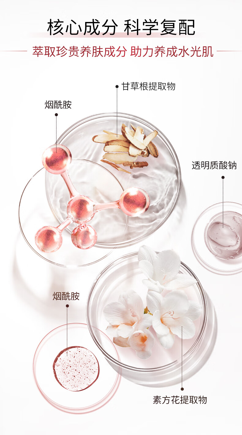 法兰琳卡（FRANIC）素芳花亮润美白烟酰胺护肤套装礼盒保湿提亮补水男女 【new】美白防晒6件套