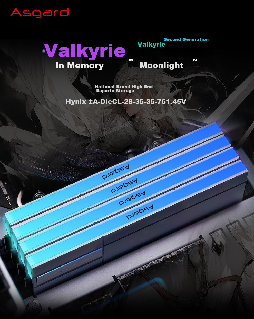 Оперативная память Asgard Valkyrie II DDR5 32GB (2x16GB) 6000MHz CL28