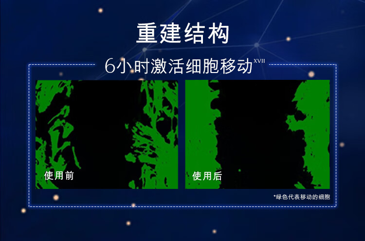 雅诗兰黛眼面两件套龙年限定(棕瓶50ml+棕眼15ml）化妆品护肤品情人节礼物