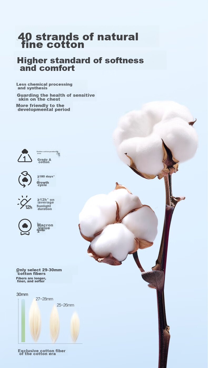 Комплект трусиков для девочек PurCotton, бесшовные, хлопковые, размер M (160), светло-жемчужный фиолетовый