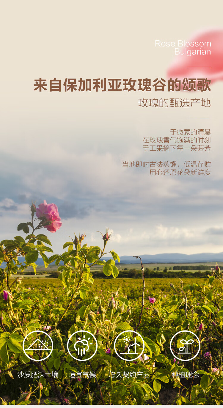 Oshadhi德国O家保加利亚玫瑰纯露500ml玫瑰水爽肤水湿敷水护肤品补水保湿