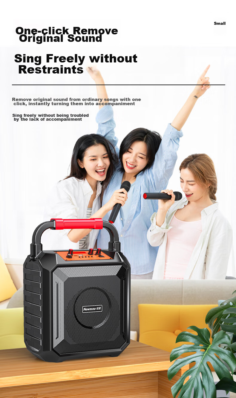 Портативная Bluetooth-колонка Newmine K220, 6.5 дюймов, 120 Вт, караоке, уличная, с микрофоном, Черный
