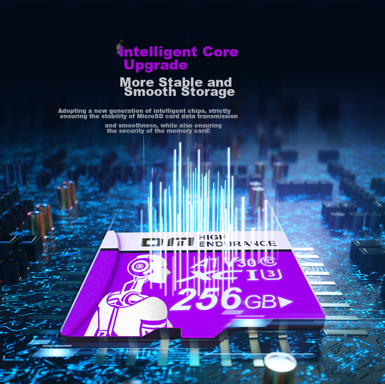 Карта памяти DM Daimei 256GB TF (MicroSD), фиолетовая, C10, высокоскоростная для камер видеонаблюдения, совместима с Huawei, Xiaomi, Yingshi, Pulin360