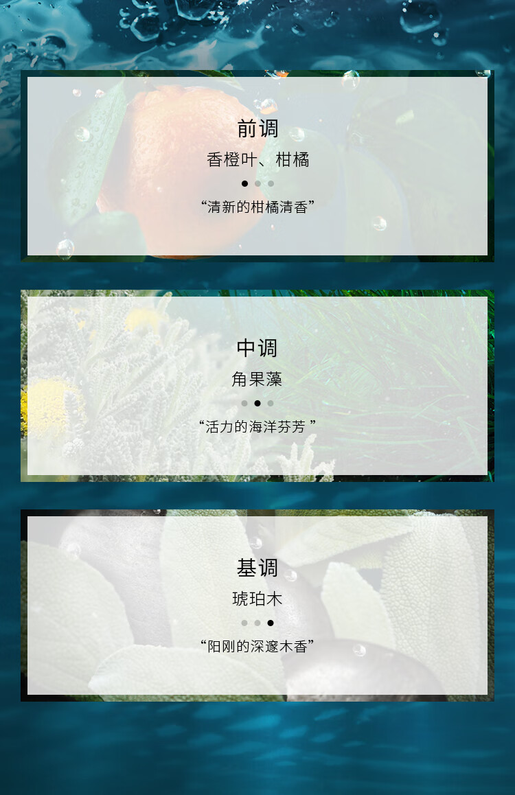 宝格丽（BVLGARI）碧蓝男士淡香氛100ml 清新海洋调男香 情人节礼物 送男友礼物