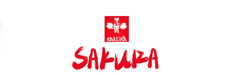 Японская гелевая ручка Sakura Pigma Micron Pen с гибким наконечником, черная, 0.4-0.5 мм