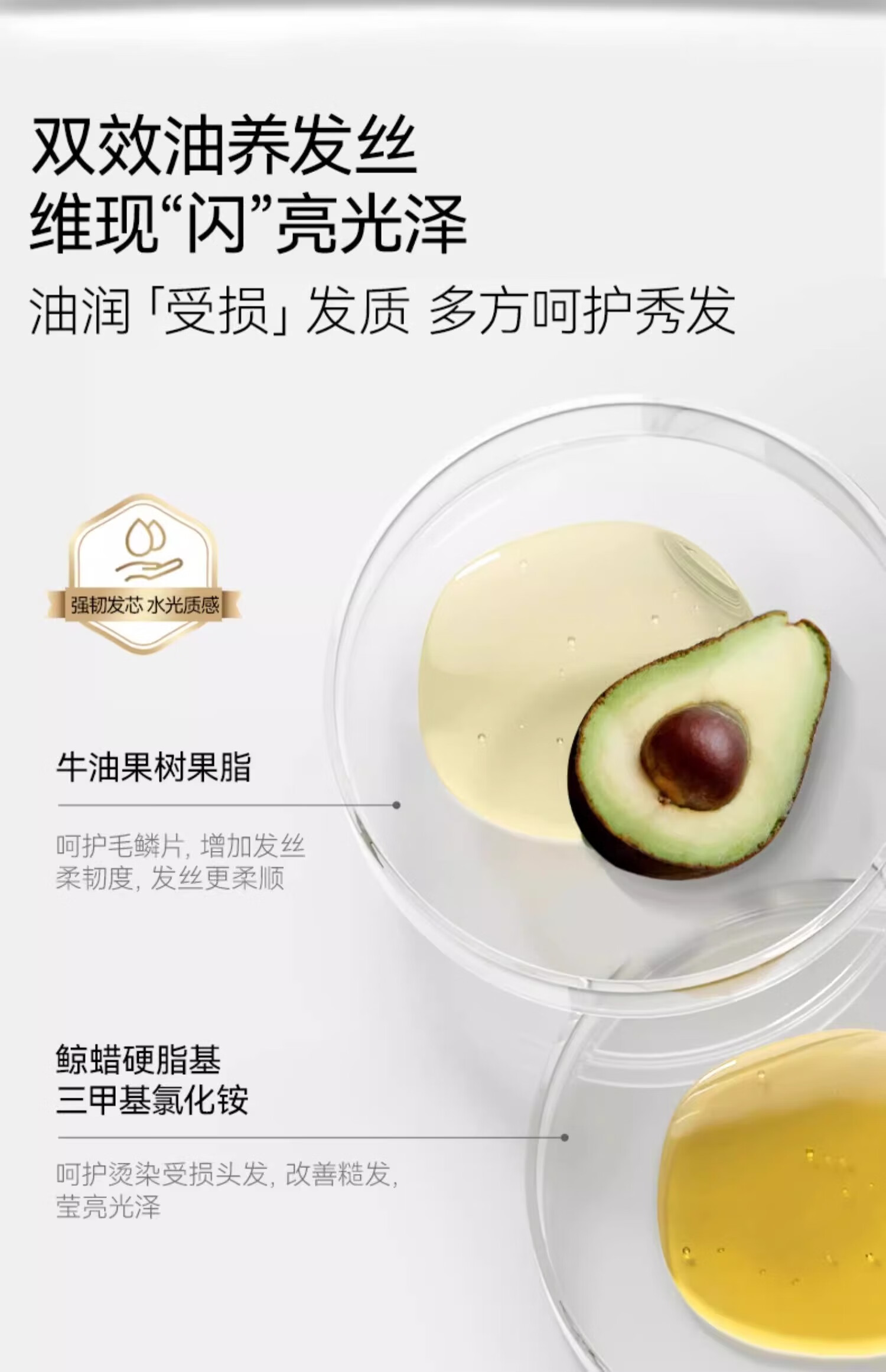 Fan Beauty Diary白檀香氛洗发水护发素洗护套装 蓬松顺滑 告别毛躁