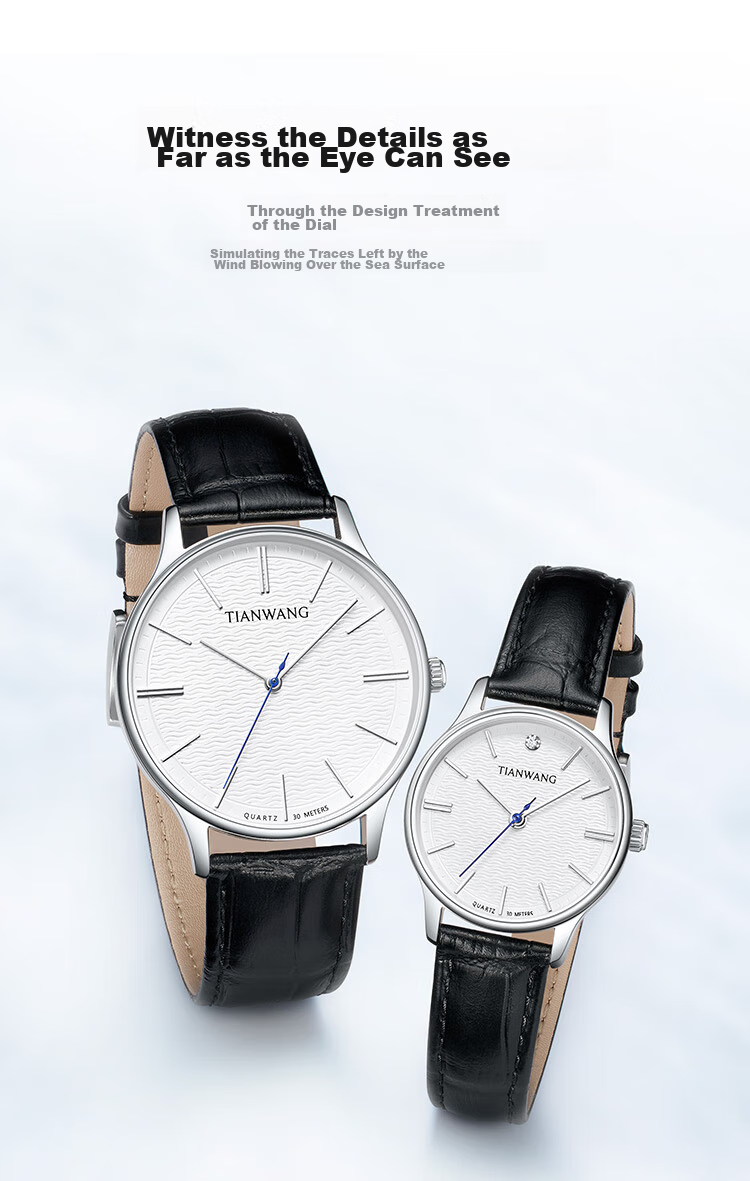 Мужские кварцевые часы TIAN WANG Canghai Series GS31331S.LB.W