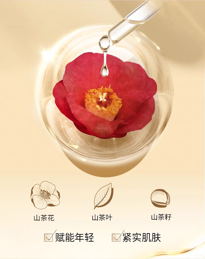 植荟露山茶花润肤油精华液抗皱紧致精华提拉紧致淡化细纹护肤品30ml
