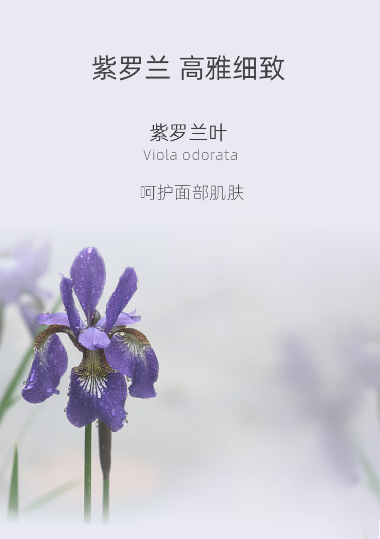 肯园（ANIUS）巨人魔杖面部精华油10ml眼油护肤油面部护肤品眼周保湿 巨人魔杖
