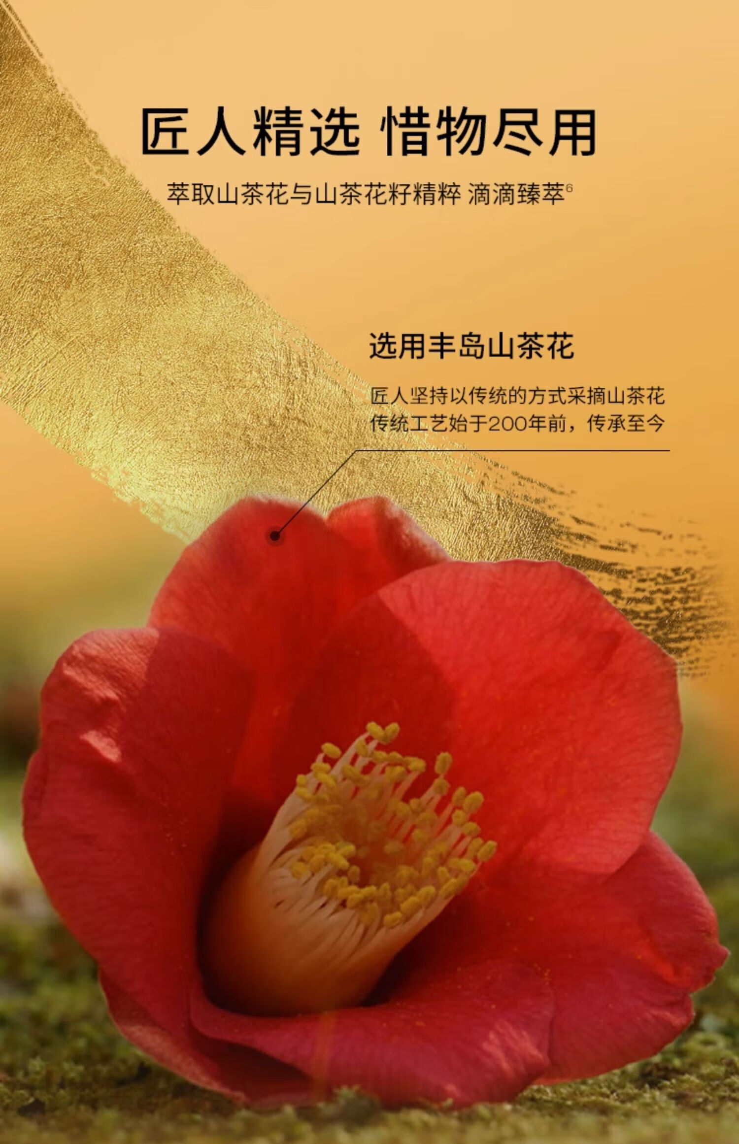 植村秀（shu uemura）琥珀臻萃洁颜油  卸妆油 中小样 50ml 深层清洁 护肤礼物