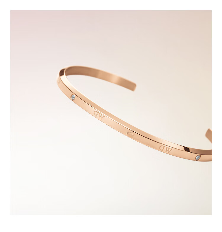 Браслет Daniel Wellington