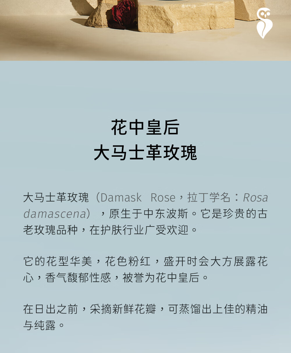 Dr.Wong大马士革玫瑰纯露香气馥郁愉悦提亮肌肤补水爽肤保湿 300ml