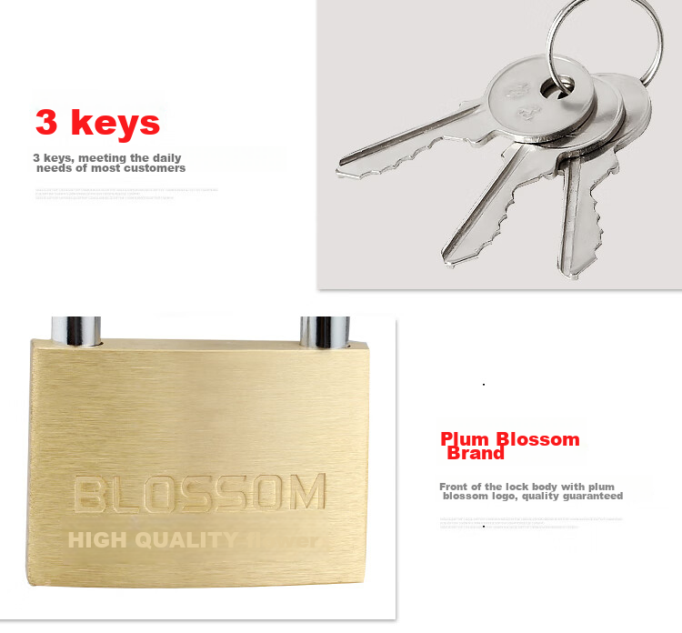 Замок BLOSSOM Copper Padlock, водонепроницаемый и устойчивый к ржавчине, для дома, общежития, шкафов и дверей, антивандальный оконный замок, 55 мм (076)