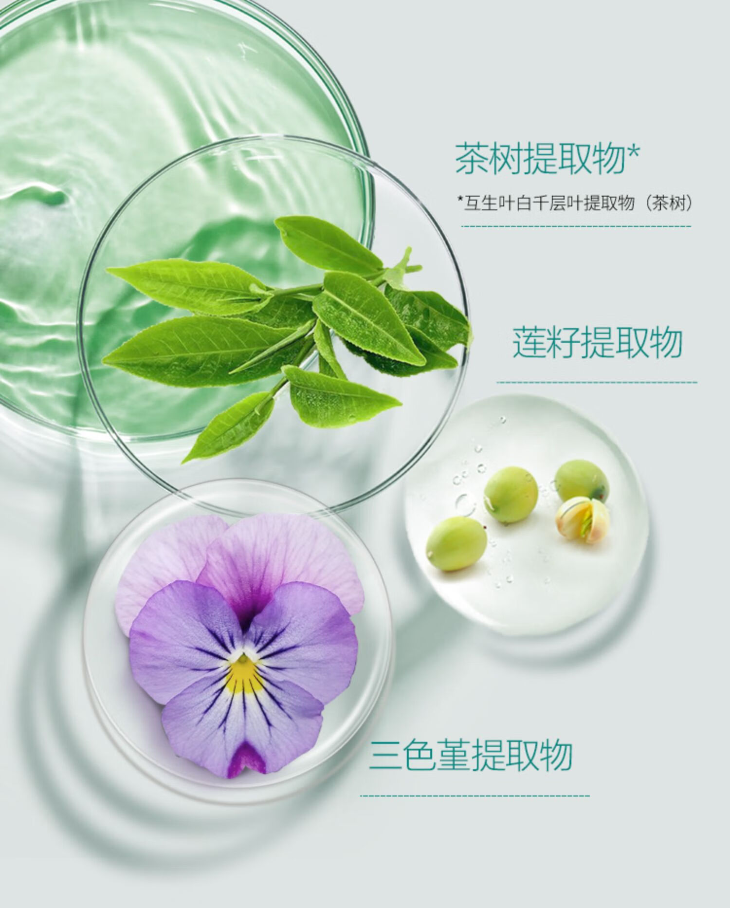 三生花百雀羚出品 控油洗面奶 洁面乳 控油清肌净透洁面膏90g男士女士