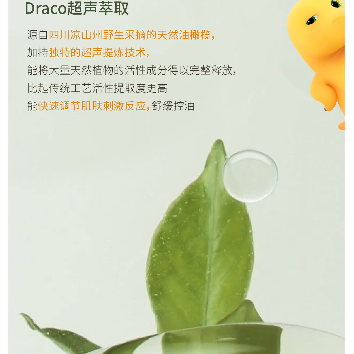 半亩花田（Little Dream Garden）氨基酸净澈洁面慕斯洗面奶清洁控油奶龙联名款 油皮300g+干皮300g